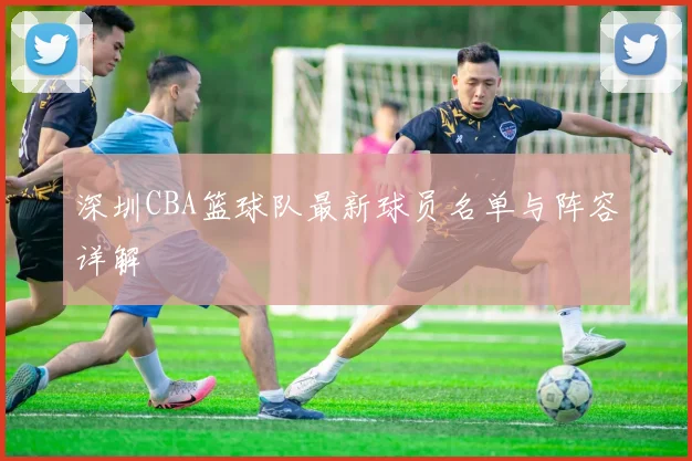 深圳CBA篮球队最新球员名单与阵容详解